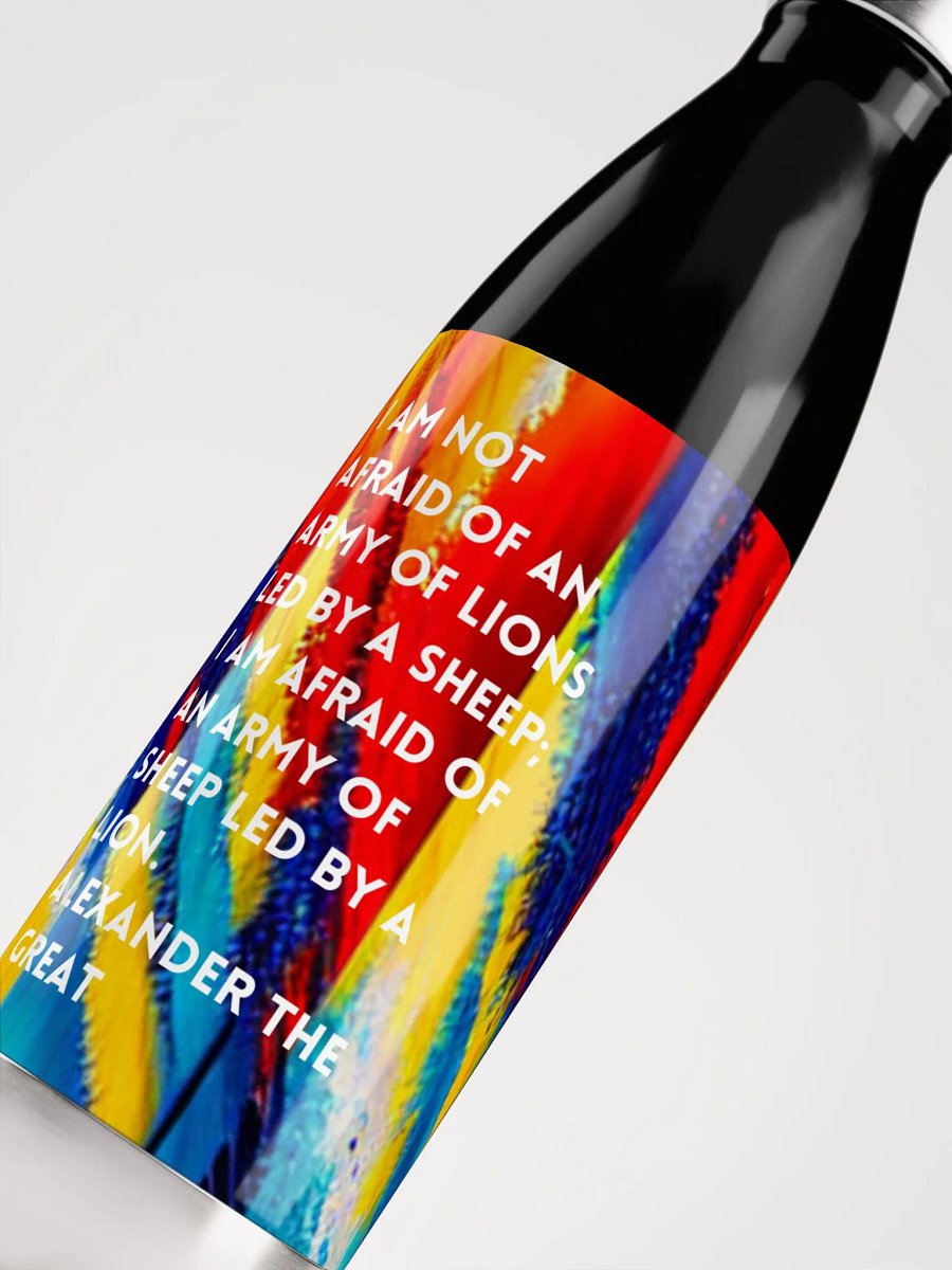 Stainless Steel Water Bottle product image (5)