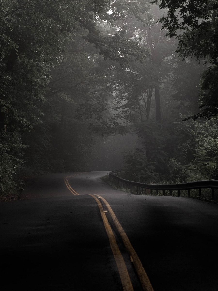 Road Trip product image (1)