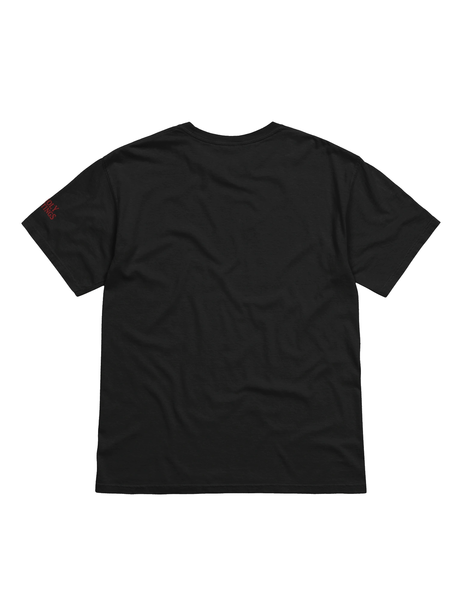 Unholy Hauntings HC Black Tee product image (2)