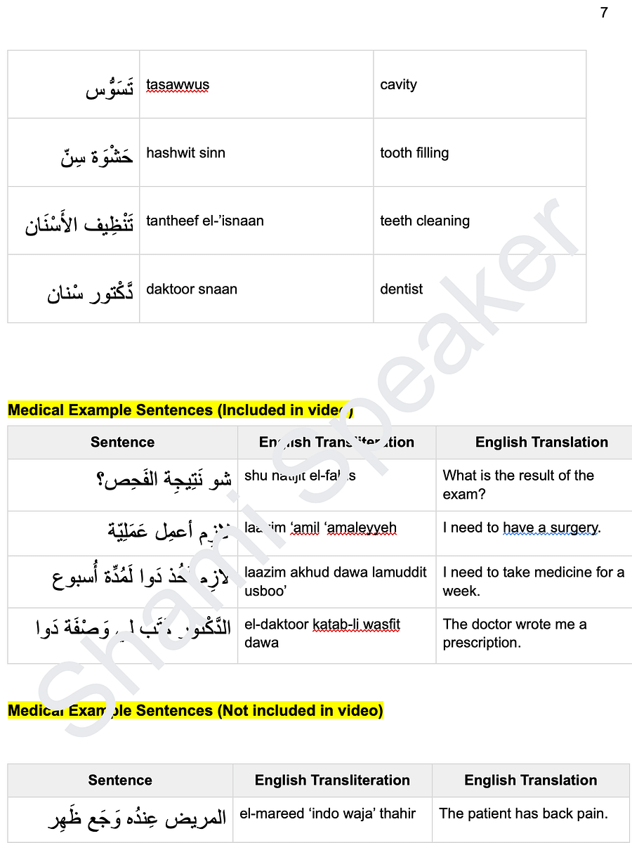 Medical Vocabulary in Levantine Arabic product image (3)