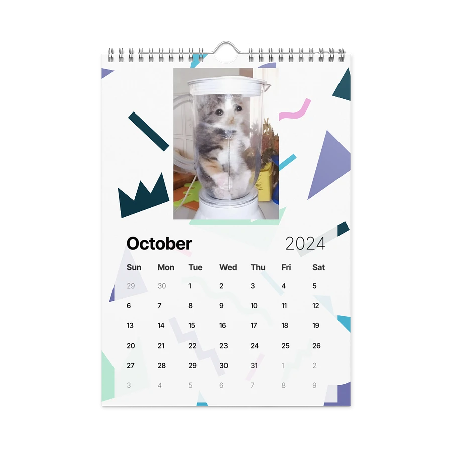 Wall Calendar (2024): Meme Cats product image (16)