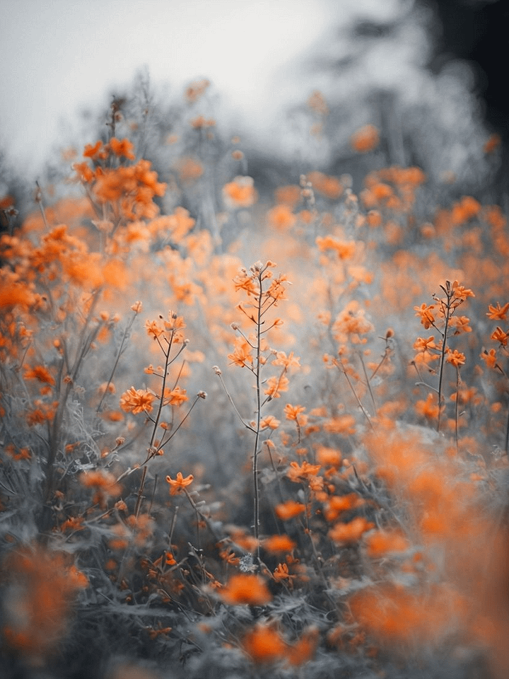 Serene Orange Blossom Framed Art product image (1)