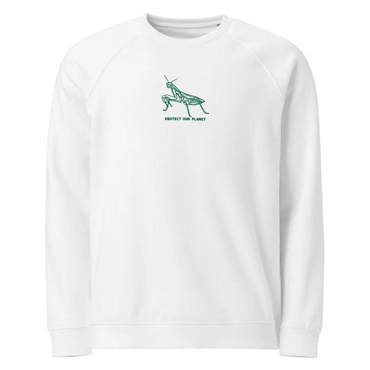 stitched earth day raglan sweatshirt product image (1)