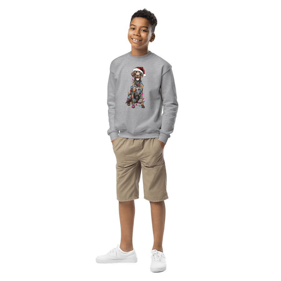Funny Christmas German Shorthaired Pointer Youth Sweatshirt product image (5)