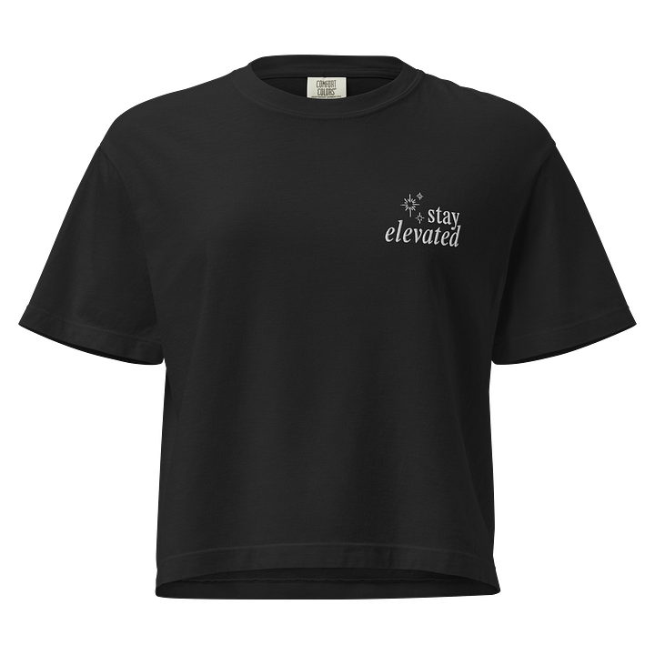 Stay Elevated Box Crop Embroidered Tee (Dark) product image (1)
