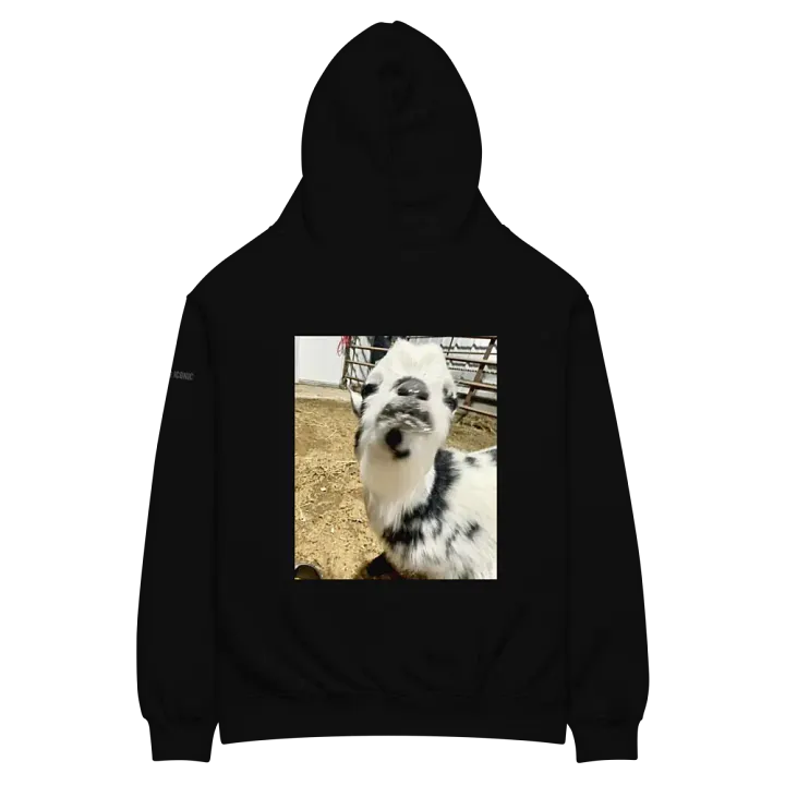 Oversized Hoodie ft. Iconic Choppa product image (1)