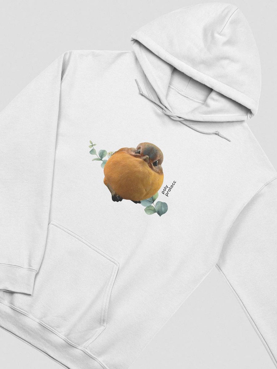PolyProtecc Hoodie (light) product image (1)