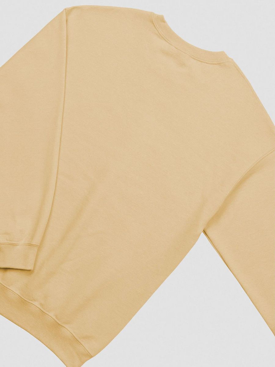 FUNNY *and* SENSITIVE embroidered crewneck product image (2)