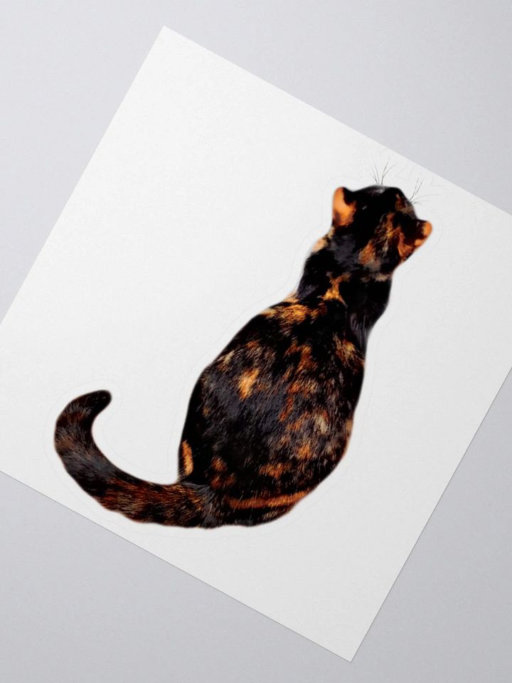 Sticker Ripley Cat product image (2)