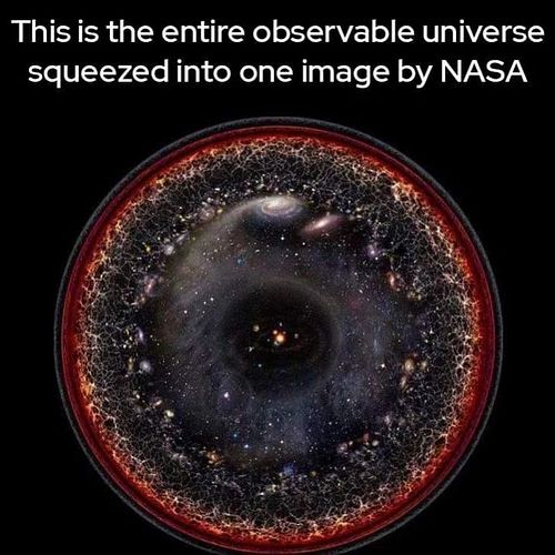 #biggerpicture#lizzards#nasa#theory
