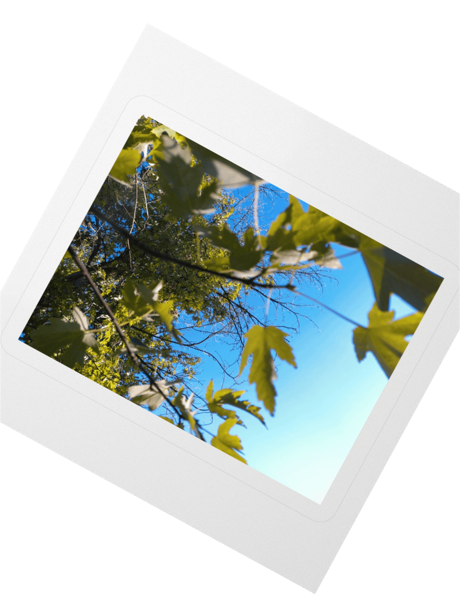 the sky product image (6)