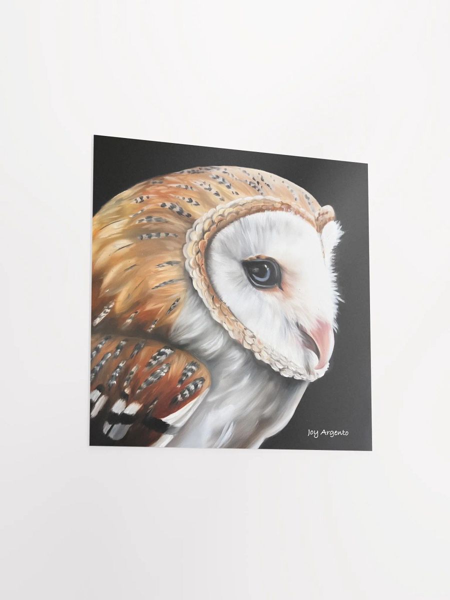 Barn Owl Print product image (4)