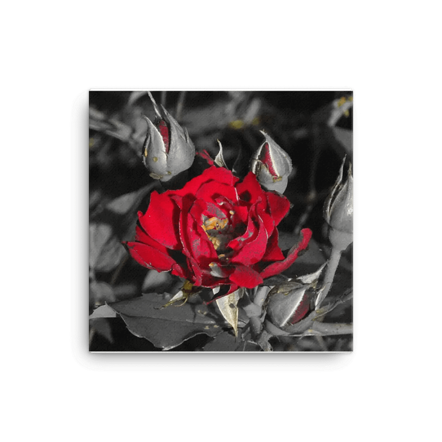Rose on Canvas product image (1)