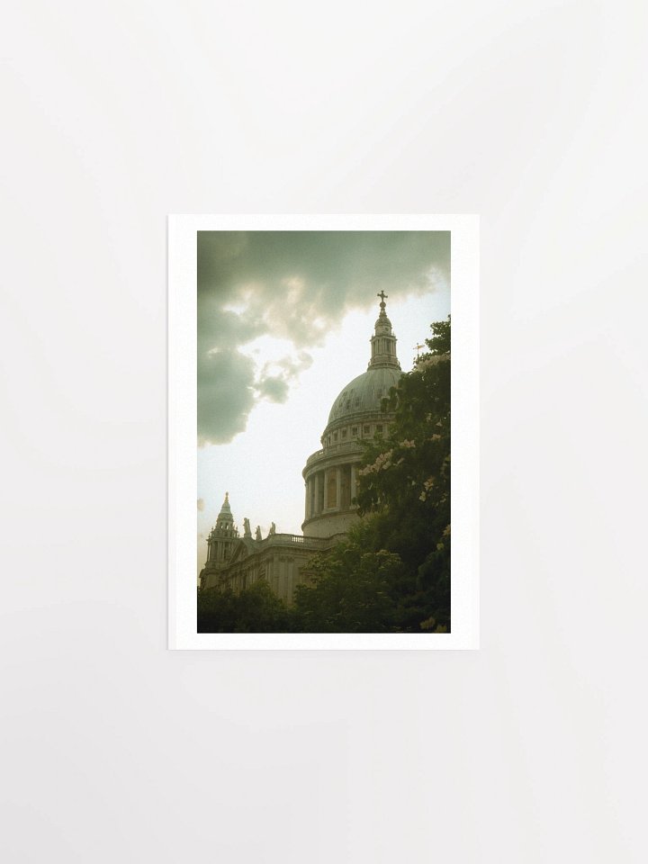 Flowers of St. Paul - Print product image (2)