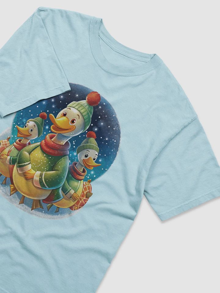 Quirky Winter Ducks product image (1)