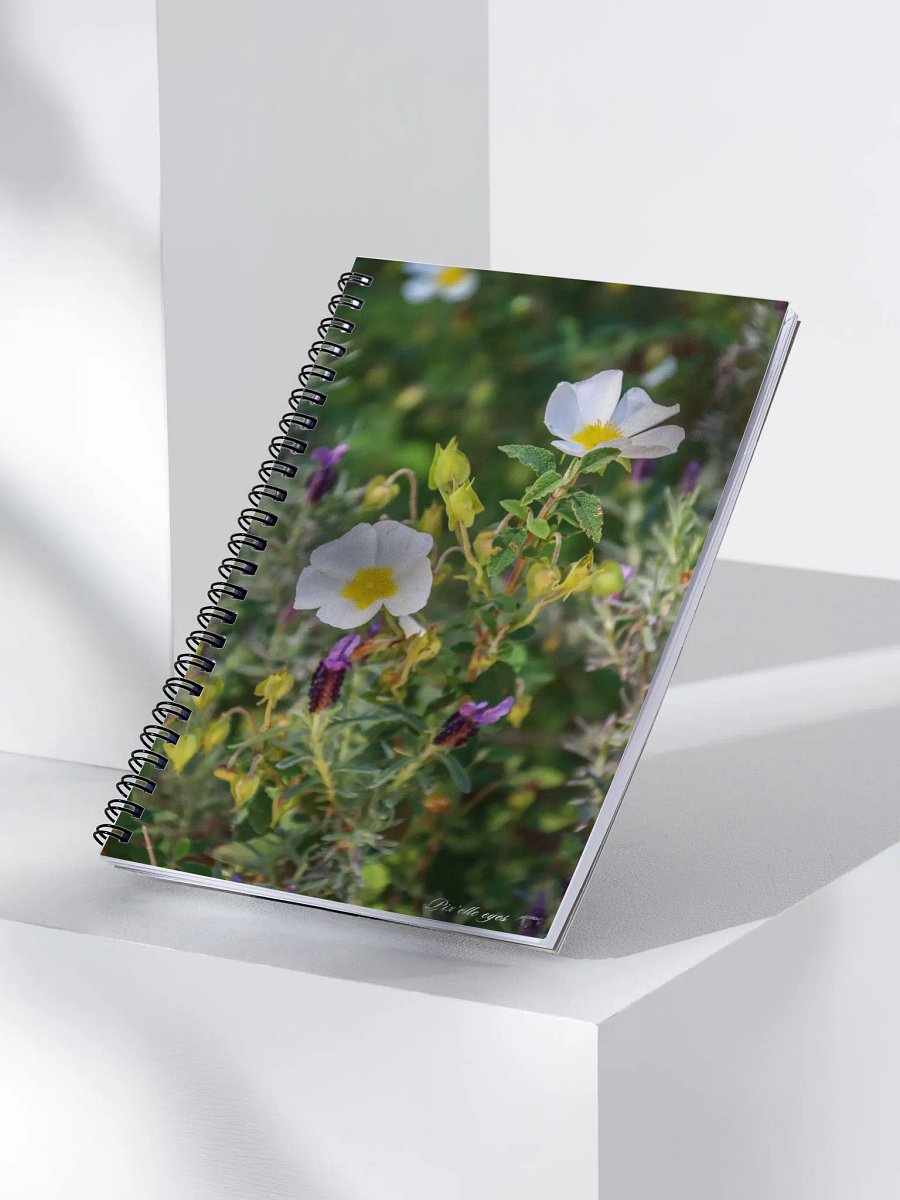 📘 Notebook Collection PURE – Jardin du Rayol – Couleur de Provence product image (3)