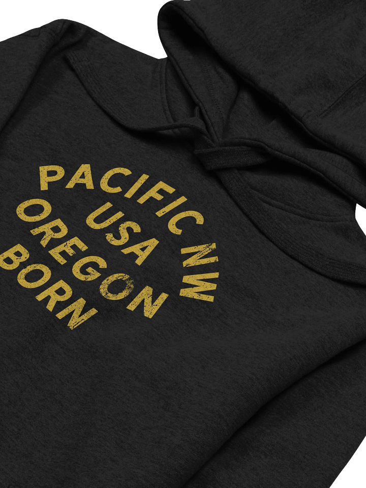 Pacific NW USA Oregon Born Hoodie product image (2)