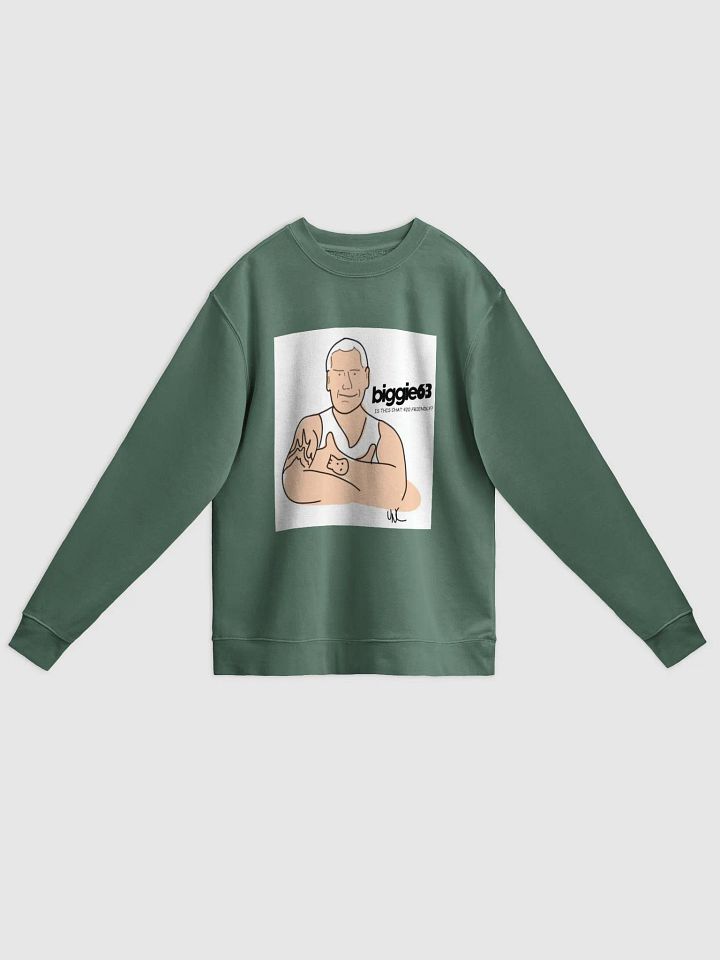 Nn420 Sweatshirt product image (1)