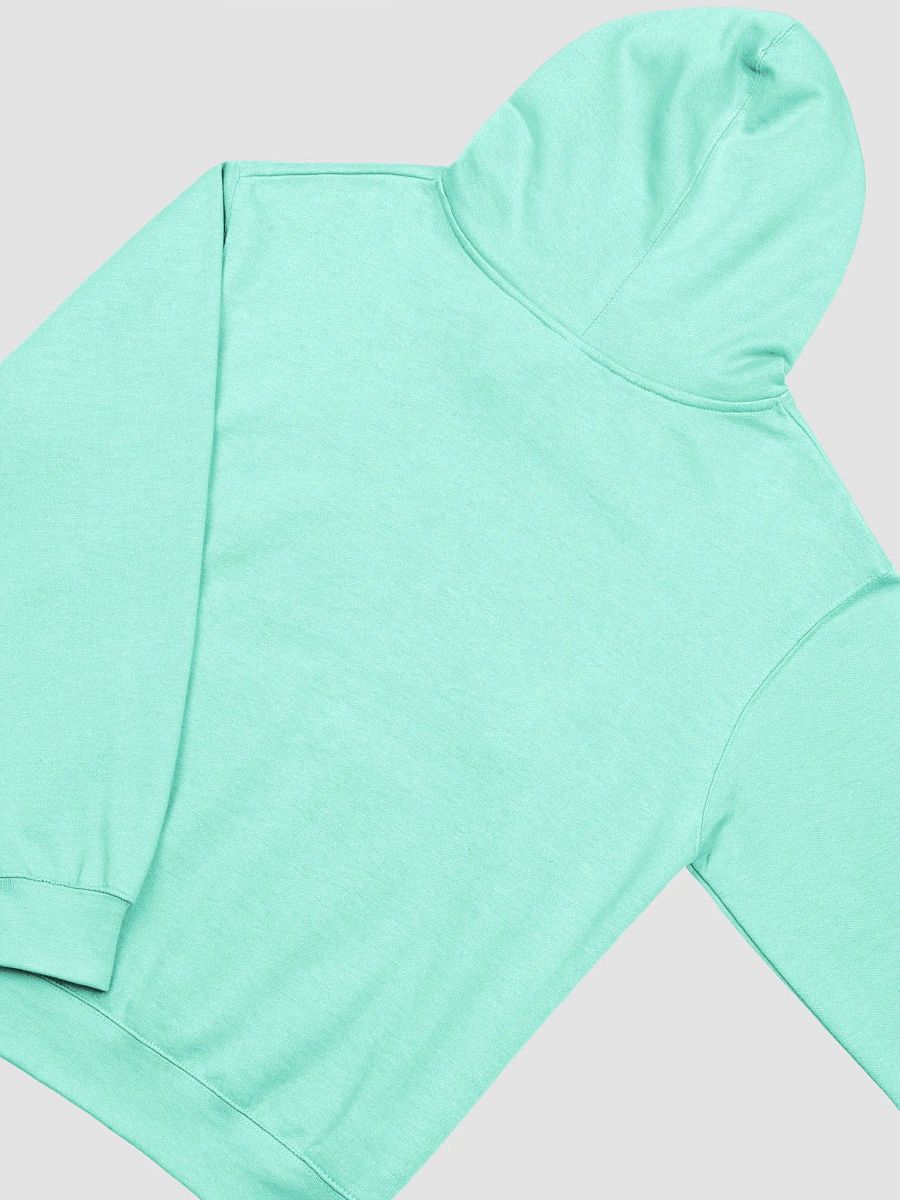 Teal Savage logo hoodie product image (5)