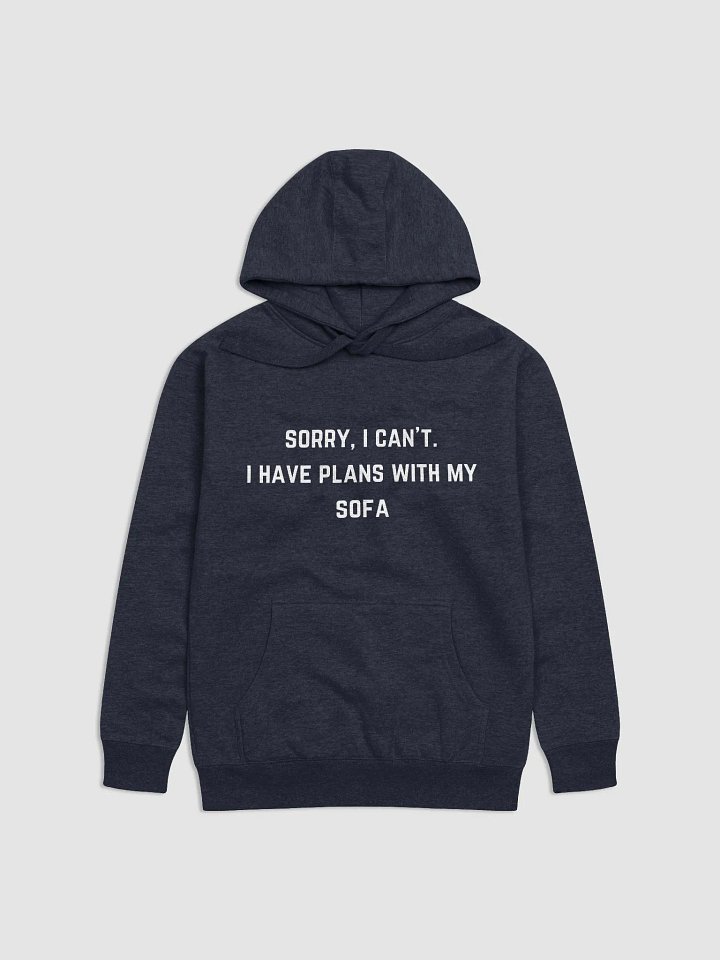 Sorry, I can’t. I have plans with my sofa - Teacher Quotes Unisex Premium Hoodie product image (11)