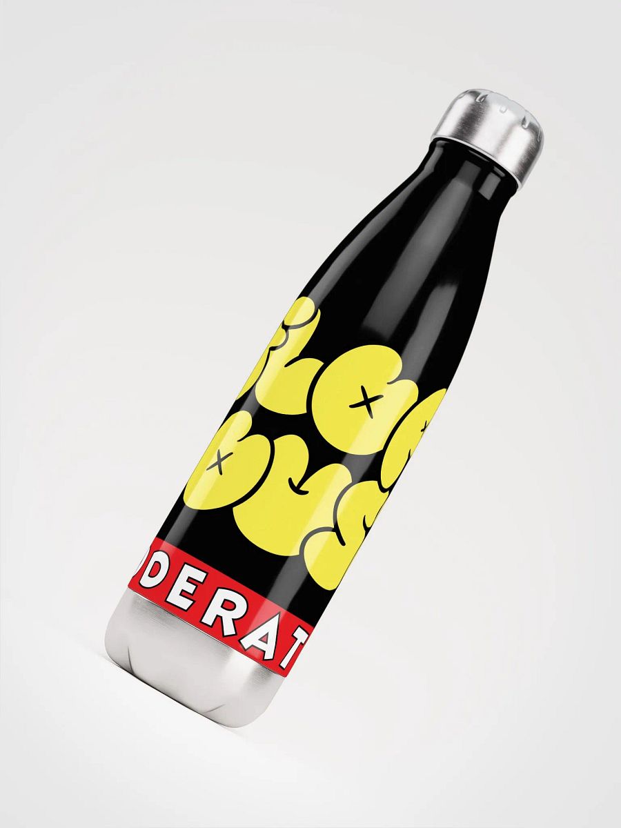 Stainless Steel Water Bottle product image (4)