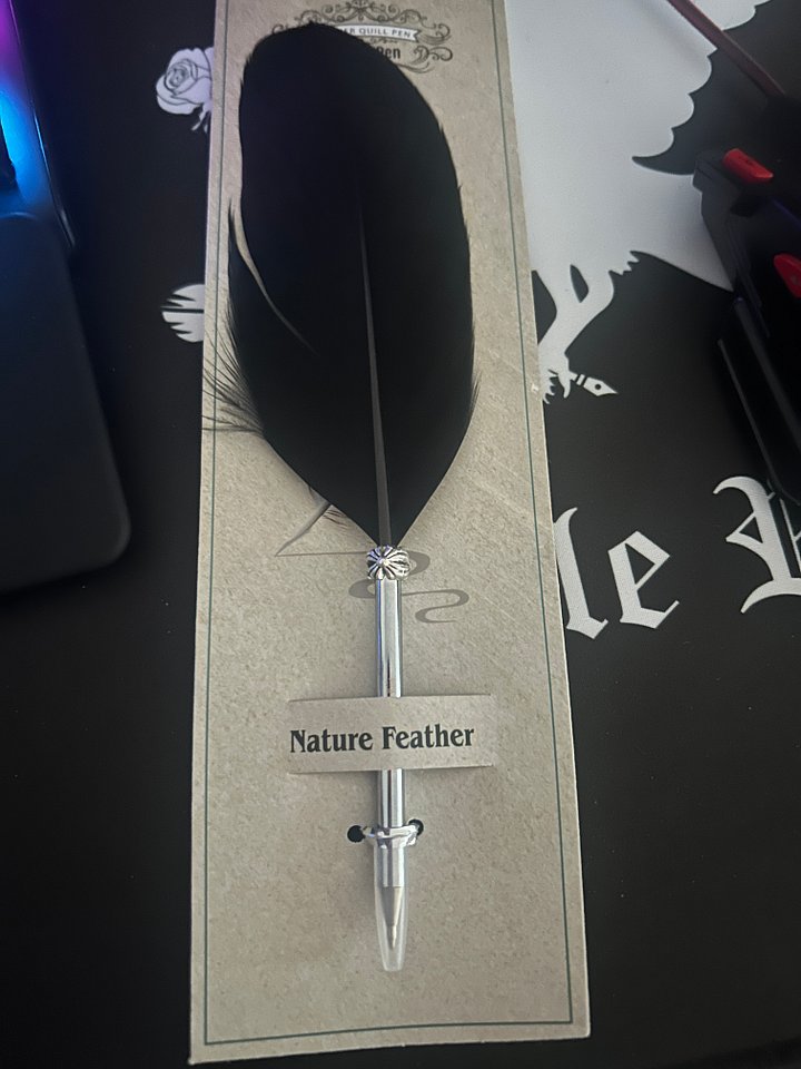 Publishing Logo | Feather Quill Pen product image (1)