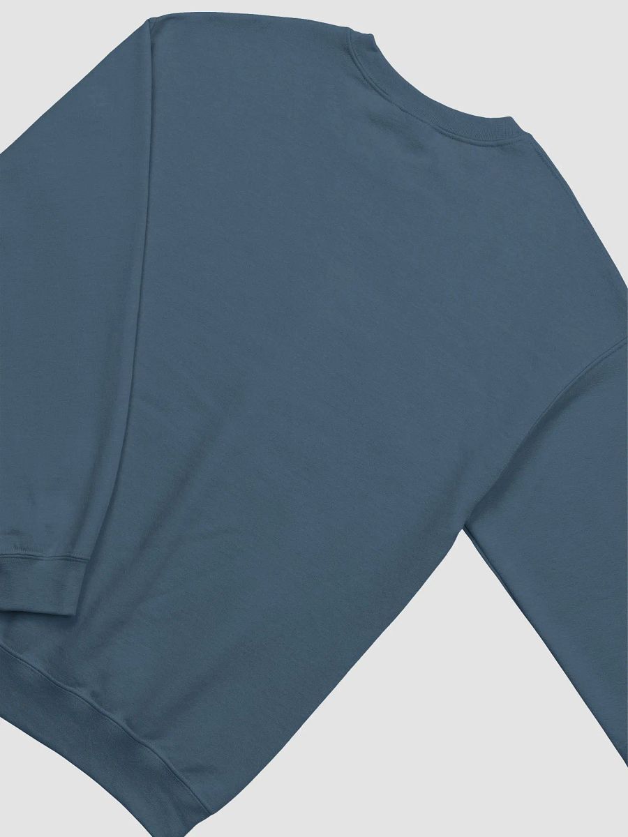 Brave Raccoon Sweatshirt product image (4)