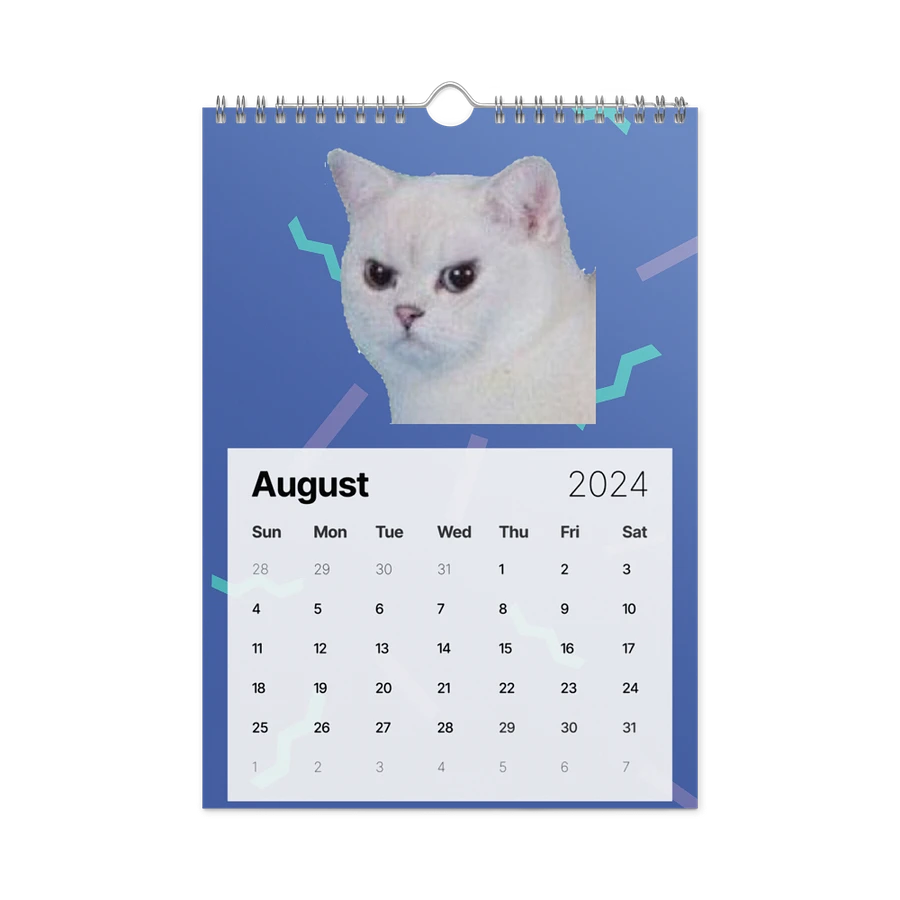 Wall Calendar (2024): Meme Cats product image (4)