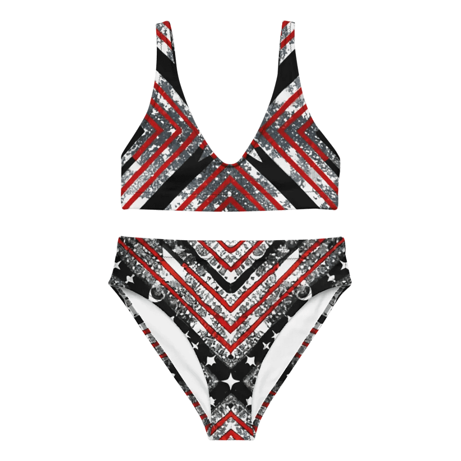 Black/Silver and Stripes Bikini product image (3)