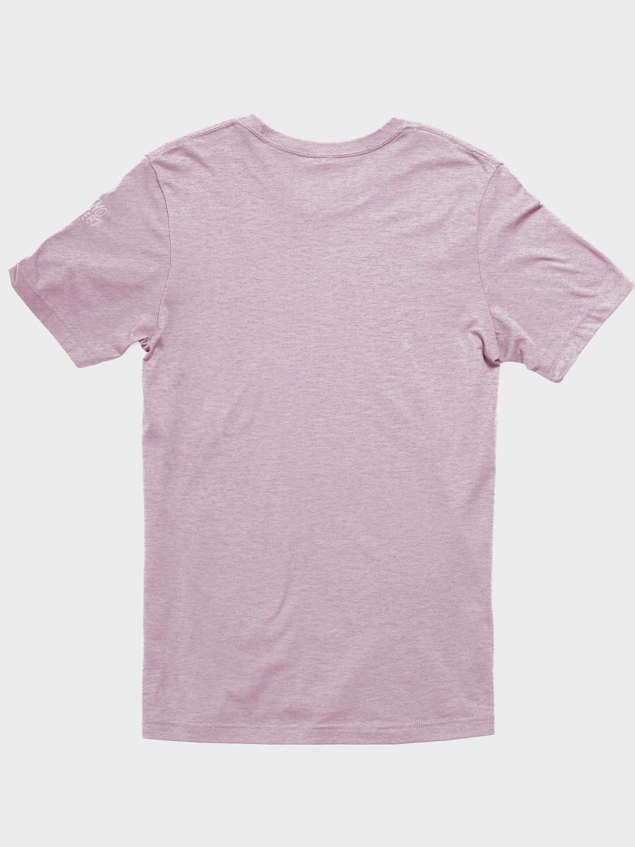 Rainbow Raptor (Supersoft T-Shirt) product image (22)