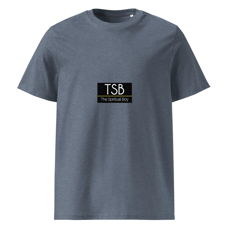 TSB Spirit Organic Tee product image (1)