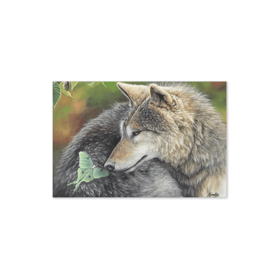 Le Loup et le Papillon product image (11)