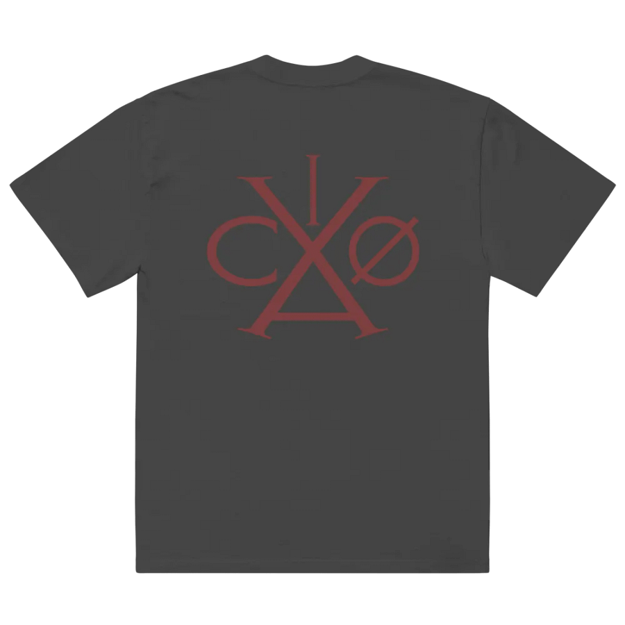 VACIO Logo back Oversized Faded T-Shirt product image (3)