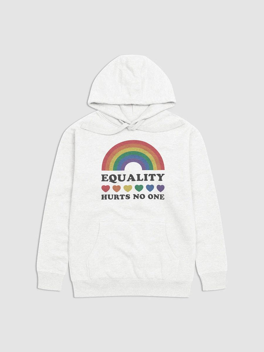 Equality Hoodie product image (5)