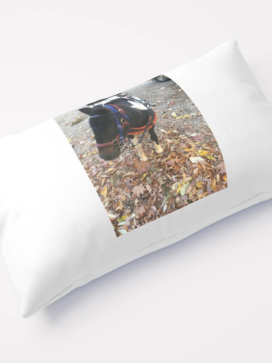 farm dog product image (10)
