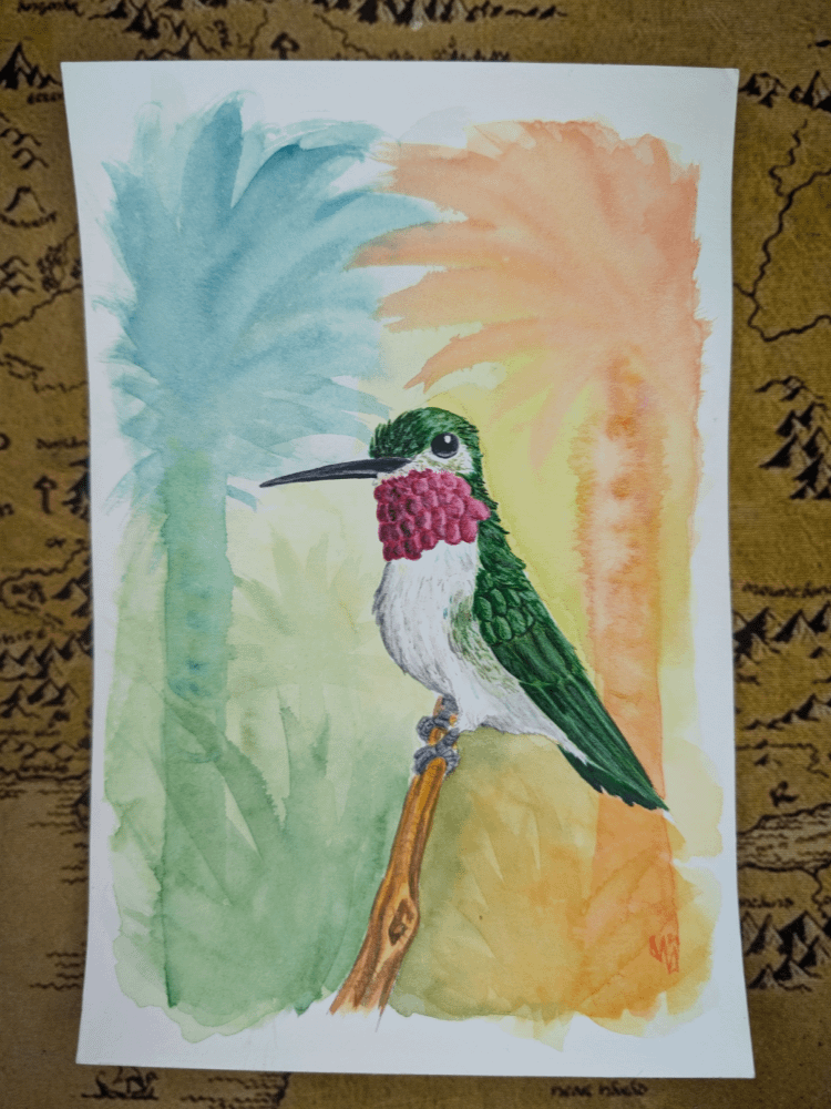 Hummingbird product image (1)