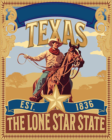 Texas: The Lone Star State product image (1)