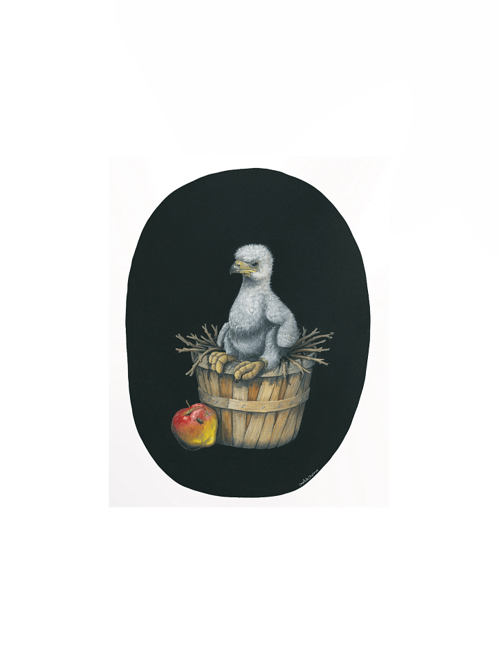 Pesticide Mitigation (Bald Eagle) - Art Print product image (2)