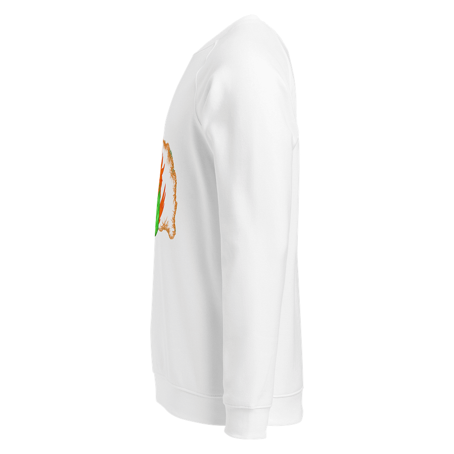Dragon's Breath Unisex Organic Raglan Sweatshirt product image (3)