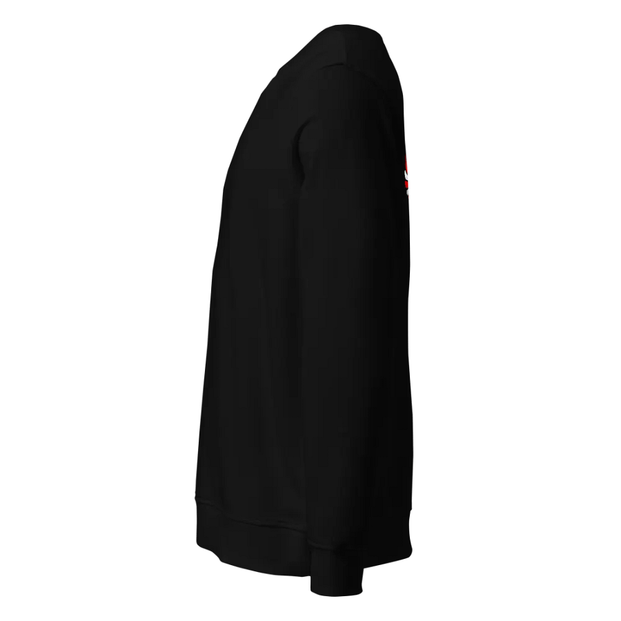 Eagle Sweatshirt product image (3)