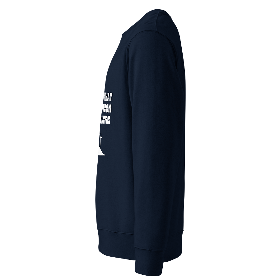 Redemption Hill Unisex Organic Sweatshirt product image (3)