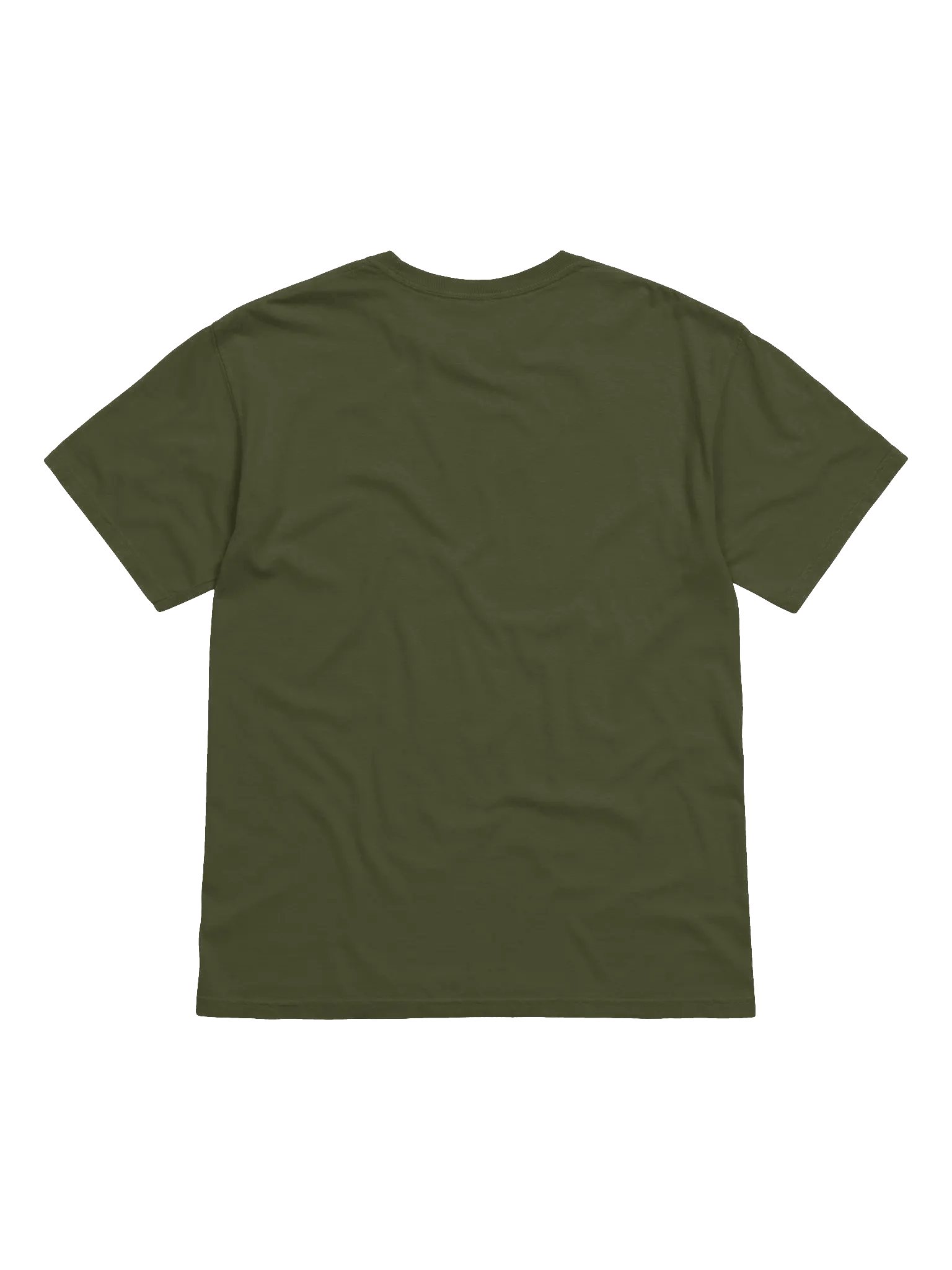 Wildhook Adventures - Comfort Tee Printed Logo product image (34)