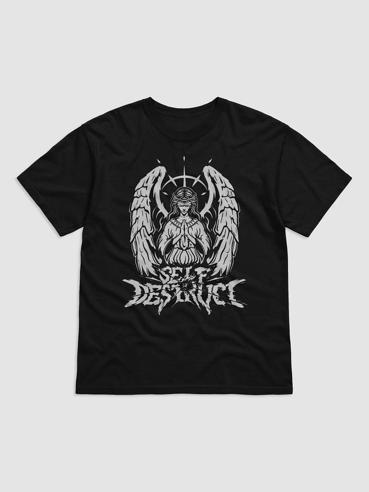 APOSTLE TEE product image (1)