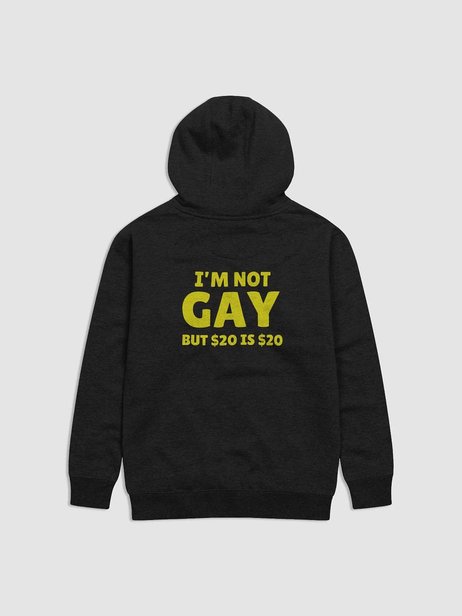Not Gay But $20 is $20 Back Print Hoodie product image (1)
