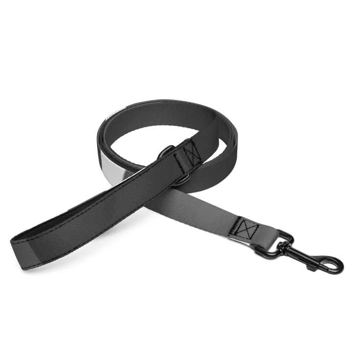 Grey Custom Pet Leash product image (1)