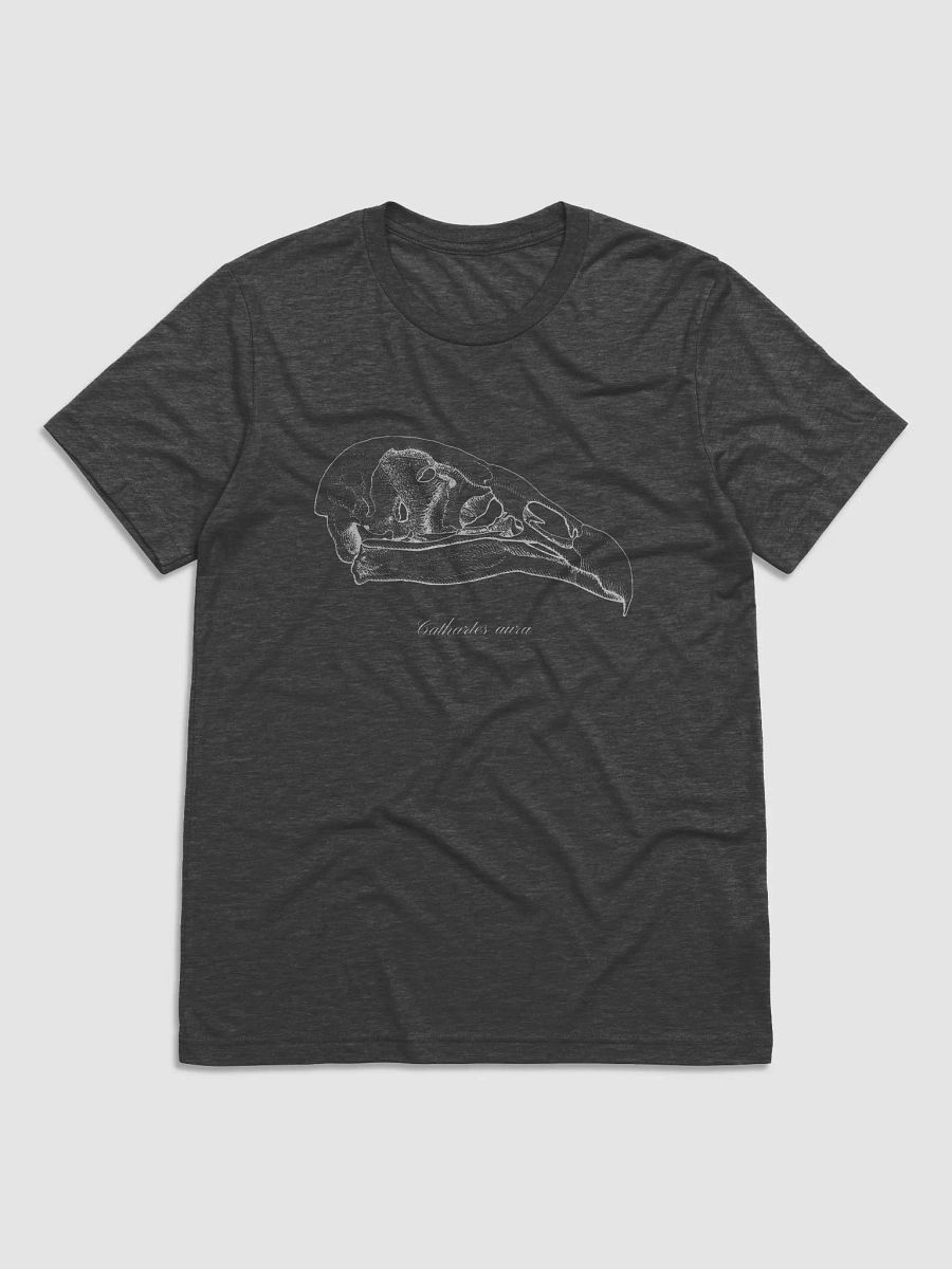 Turkey Vulture Skull product image (1)