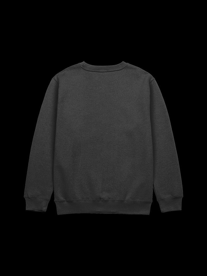 The Pride long sleeve product image (22)