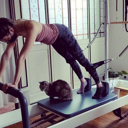 String 😺 is always with you on the Pilates Reformer 😸

#petlates #pilates #pilatesstudio #pilateswithpets #pilatescat #pilate...