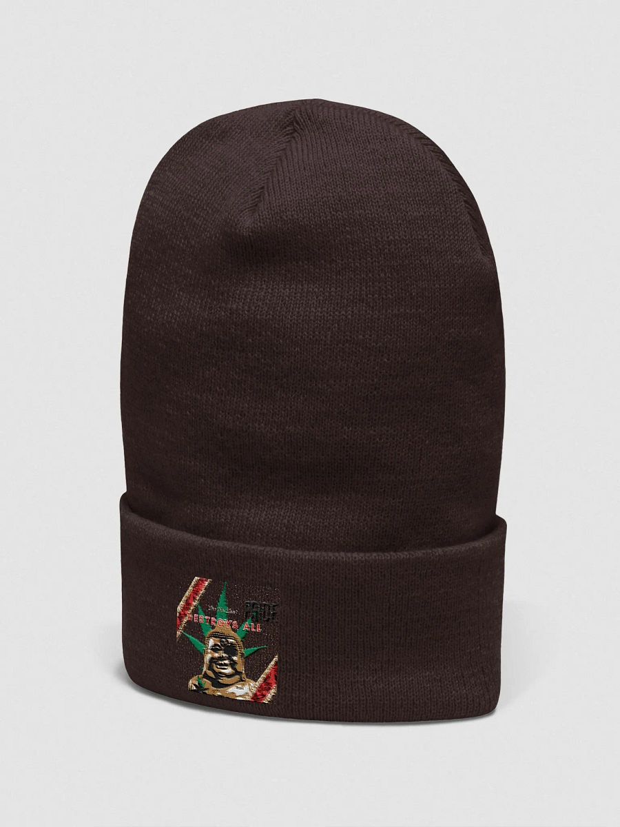 Enlightenment Cuffed Beanie product image (9)
