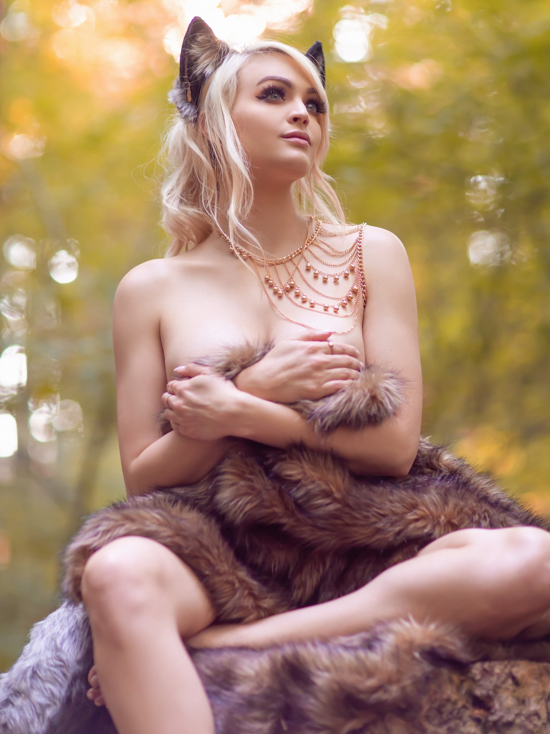 Woodland Wolf Patreon Set product image (1)